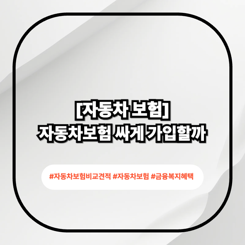 자동차보험 비교견적 2026 공식 비교 경로 정리 이미지