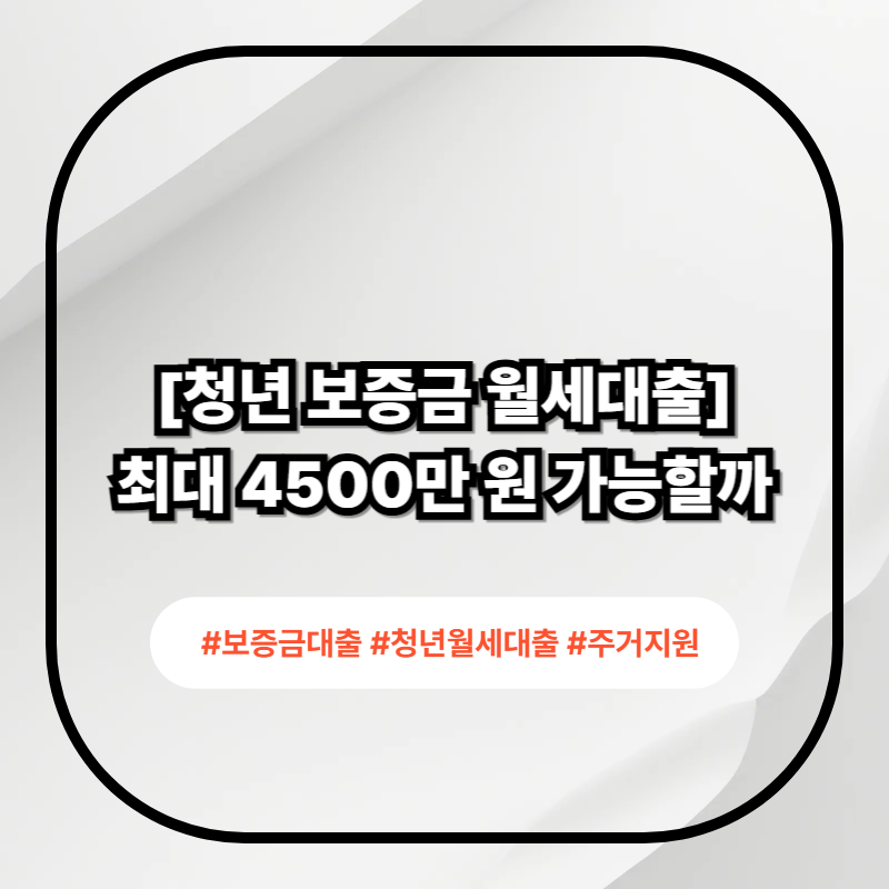 2026 청년 보증부월세대출 조건과 한도 정리 이미지