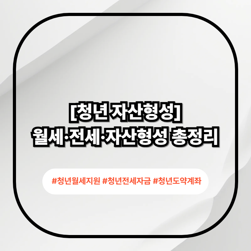 2026 청년 지원정책 총정리 비교표 이미지