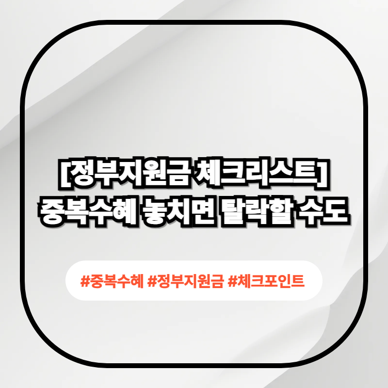 정부지원금 신청 전 체크리스트 요약 이미지